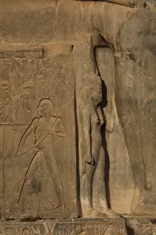 Nefertari: Nefertari, Pylon, Luxor Temple, Luxor, Egypt