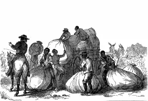 World History Archive: Negro labour loading sacks of cotton on cart to