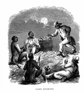 Labourers: Negro labourers husking corn (Maize), Southern