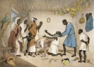 Superstition: Negro superstition, the doo di doo bush, -- or which is the