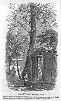 Uncles: NELSON/TREE/KENTISH TOWN