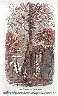 1758: NELSON/TREE/KENTISH TOWN