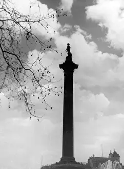 Baily: NELSON'S COLUMN