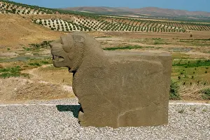 Neo Hittite: Neo-Hittite. Colossal basalt lion found in 1955. Ain Dara Te