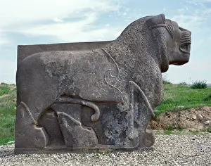 Neo Hittite: Neo-Hittite. Colossal basalt lion found in 1955. Ain Dara Te