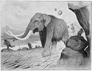 Tusks: Neolithic mammoth hunt