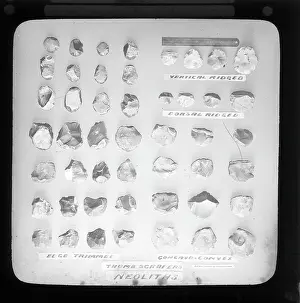 Scrapers: Neolithic thumb scrapers