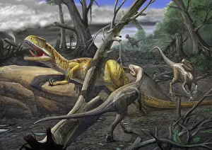 Vulture: A Neovenator salerii is approached by Eotyrannus lengi ?
