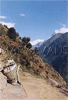 Annapurna: NEPAL/ANNAPURNA 17 BASKE