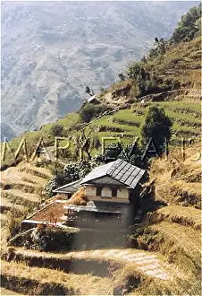 Annapurna: NEPAL/ANNAPURNA 22 FARM