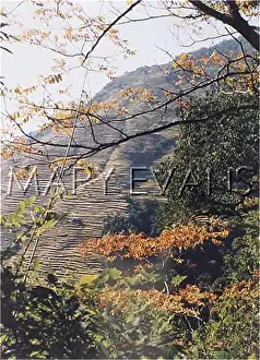 Annapurna: NEPAL/ANNAPURNA 5 TREES