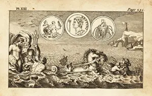 Seahorse: Neptune, Roman god of the seas