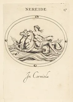 Hippocampus: Nereid riding hippocamps in the ocean