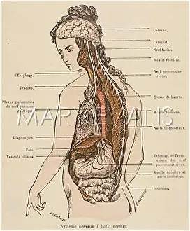 Measles: NERVOUS SYSTEM/1883