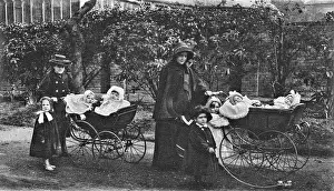 Clapton: The Nest, Clapton - Going for a Walk