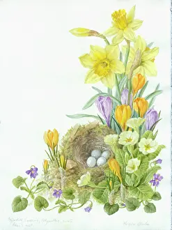 Polyanthus: nest with eggs with flowers