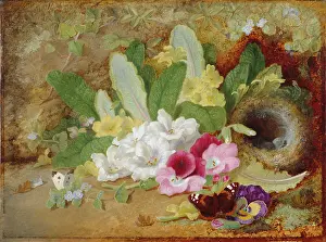 Primroses: A Nest under the Old Bank
