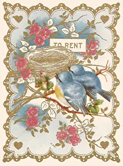 Rent: Nest for Rent