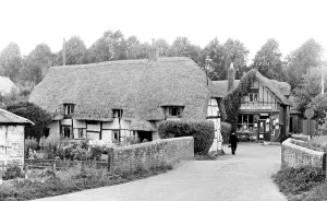 Nether: Nether Wallop, the Square c1955