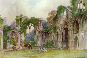 Netley: NETLEY ABBEY/EAST WINDOW