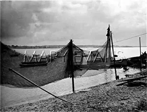 Stour: NETS AT MANNINGTREE