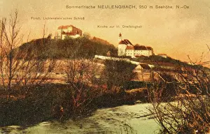 Ledermann: Neulengbach. Castle and Church of St. Trinity