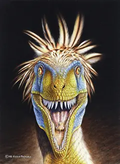 Coniacian: Neuquenraptor argentinus, front view