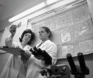 Preparations: Neural Brain Structures Laboratory of Brain Institute