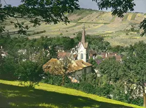 Walde: Neustift am Walde