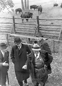 Bison: Nevile Hendersen, Lord Halifax and Hermann Goring, 1937
