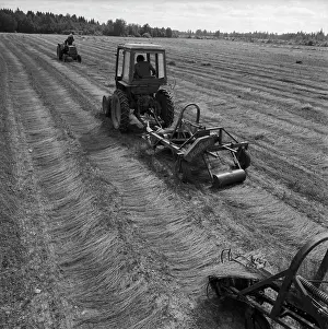 Flax: New Agricultural Equipment