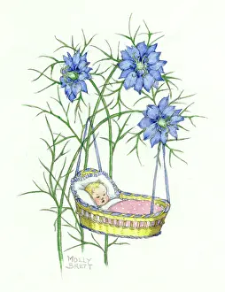 Nigella: New baby by Molly Brett