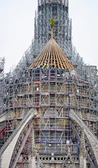 Buttress: New choir framework, Cathedrale Notre-Dame de Paris, Paris