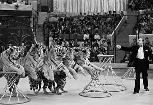 Tikhonov: New circus programme premiere in Ufa