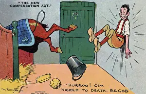 Accepting: New Compensation Act - 1906 - Stableboy kicked in stable