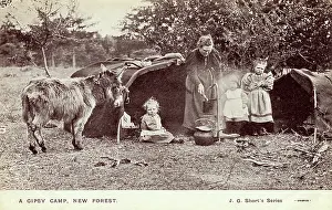 Romany: New Forest Gypsy Camp
