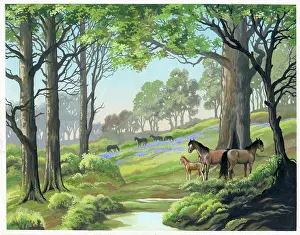 Bluebells: New Forest Ponies in spring landscape