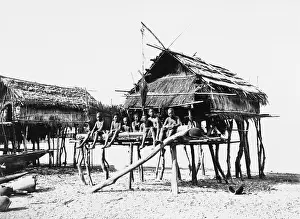 Stilts: New Guinea