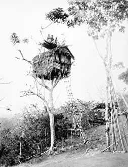 New Guinea
