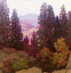 Opus: New Hampshire, Opus I