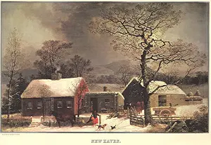 Boonies: New Haven