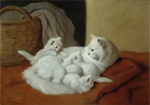Heyer: The New Litter ' white cat with four kittens