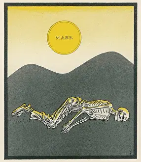 Meantime: THE NEW MARK