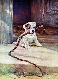 Doorstep: The New Pet, terrier puppy with whip