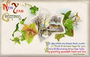 Sentimentality: New Year Greetings Postcard