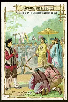Harvests: New Year, Imperial China