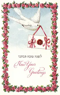 Graceful: New Year's Greetings