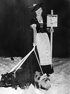 Leash: New Year's greetings for the year 1936