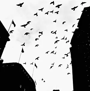 Himmel: New York in the 1940th
