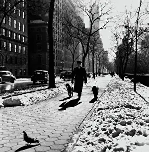 Geschichte: New York in the 1940th